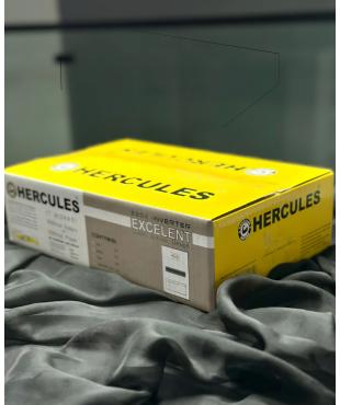 UPS AC 220 V HERCULES